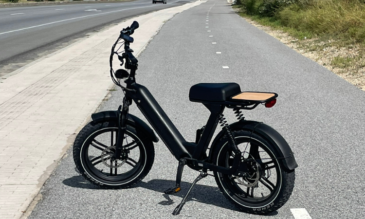 Electric Bike Rentals