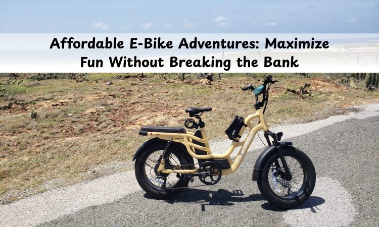 Affordable E-Bike